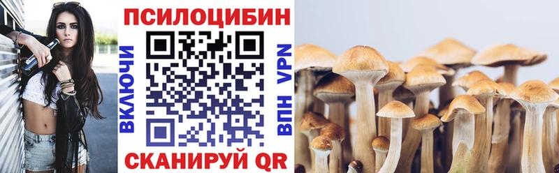 Псилоцибиновые грибы Psilocybine cubensis  Пикалёво 